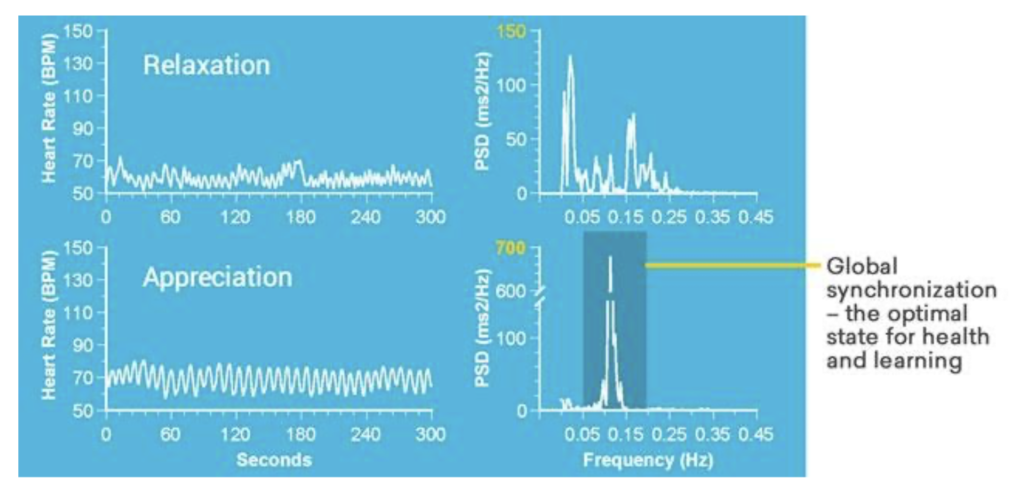 Coherence Is Not Relaxation
