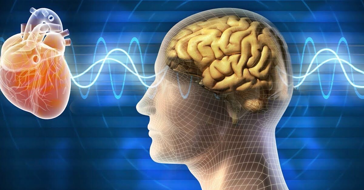 Scientific Foundation of the HeartMath System